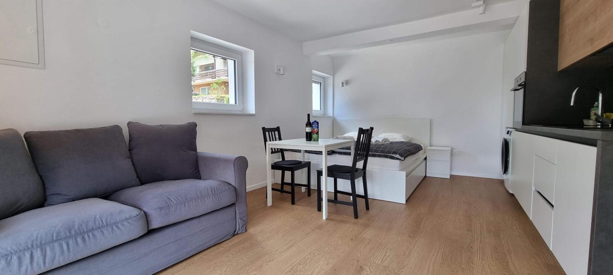 Naia Apartments Novo Mesto Buitenkant foto